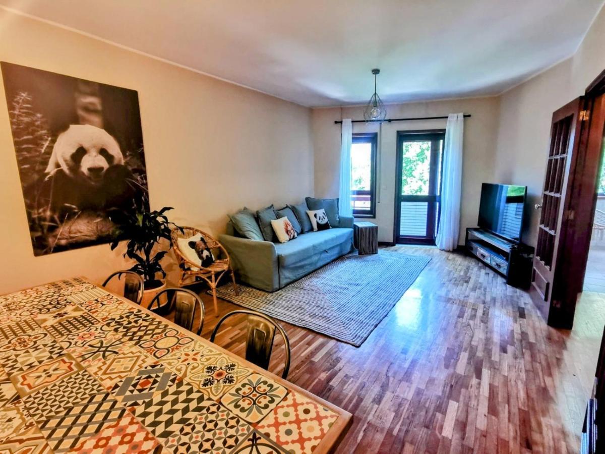 Apartament Coronel Pacheco 42 - Porto Zewnętrze zdjęcie